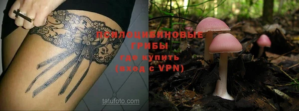 МДПВ Абинск