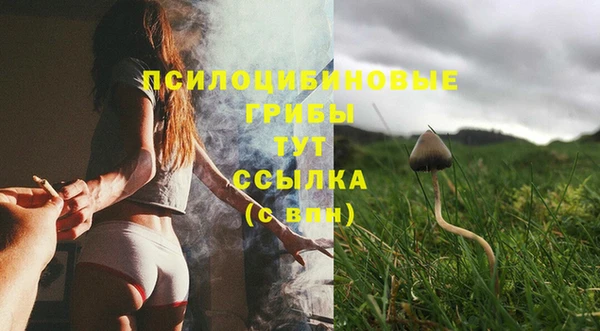 МДПВ Абинск