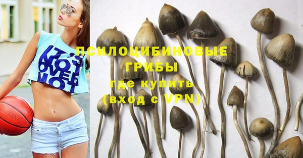МДПВ Абинск