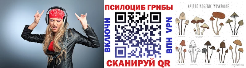 где купить   Сычёвка  Псилоцибиновые грибы прущие грибы 